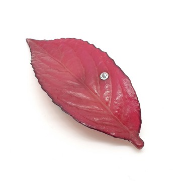 Buch + Deichmann pruimkleurige bladbroche - Bliinkt