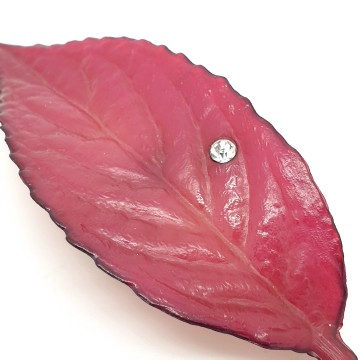 Buch + Deichmann pruimkleurige bladbroche - Bliinkt