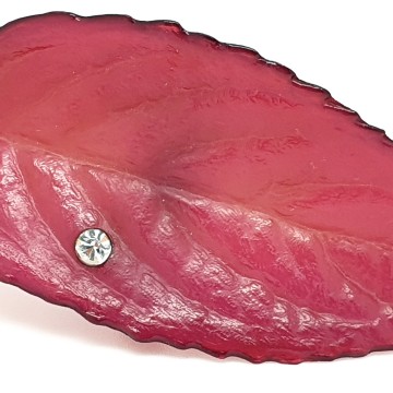 Buch + Deichmann pruimkleurige bladbroche - Bliinkt