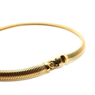 Monet smalle goudkleurige omega ketting