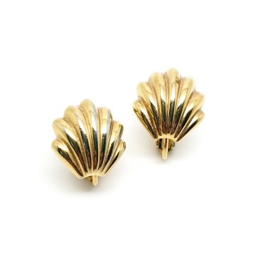 Napier shell earrings